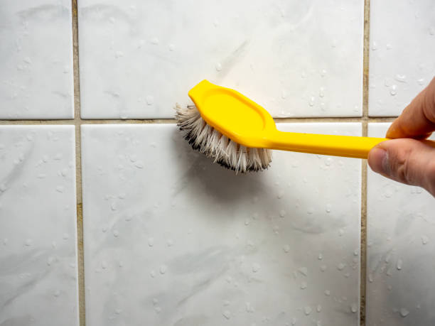 Best Health and Safety Mold Remediation in Thoreau, NM